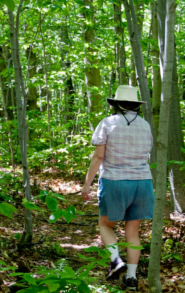 027__DSC1214.jpg - Mt. Greylock: Rounds Rock loop trail