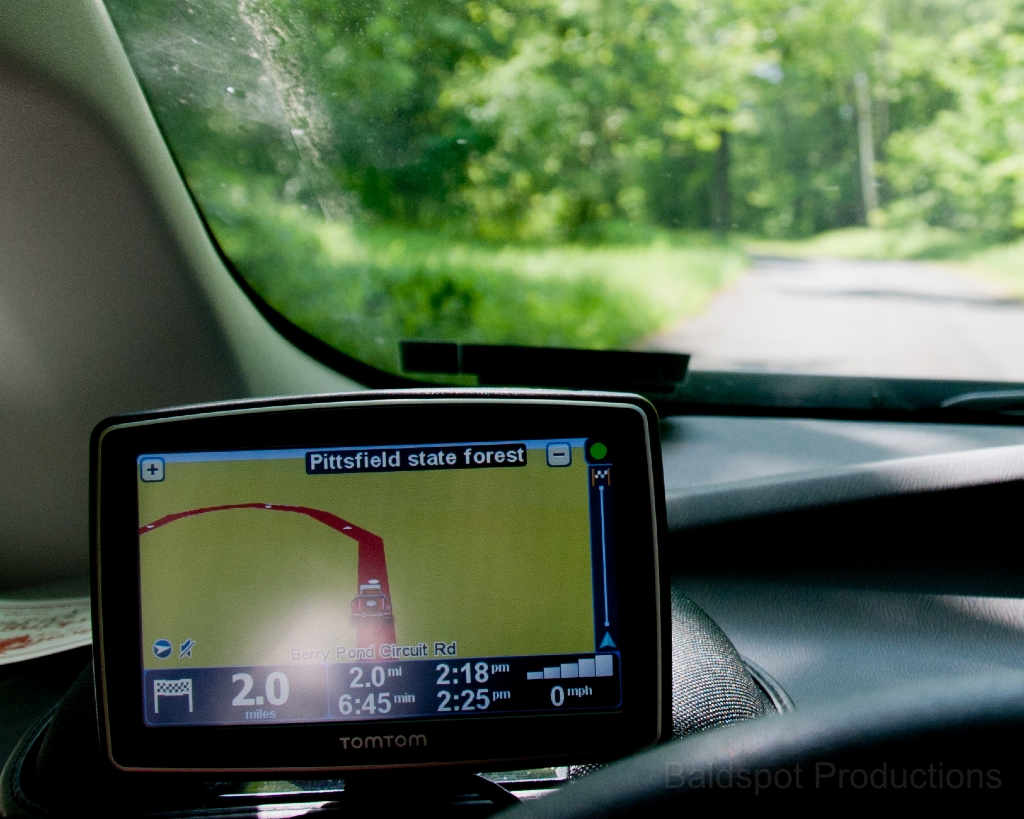 090__DSC1377.jpg - Pittsfield State Forest, Pittsfield MA