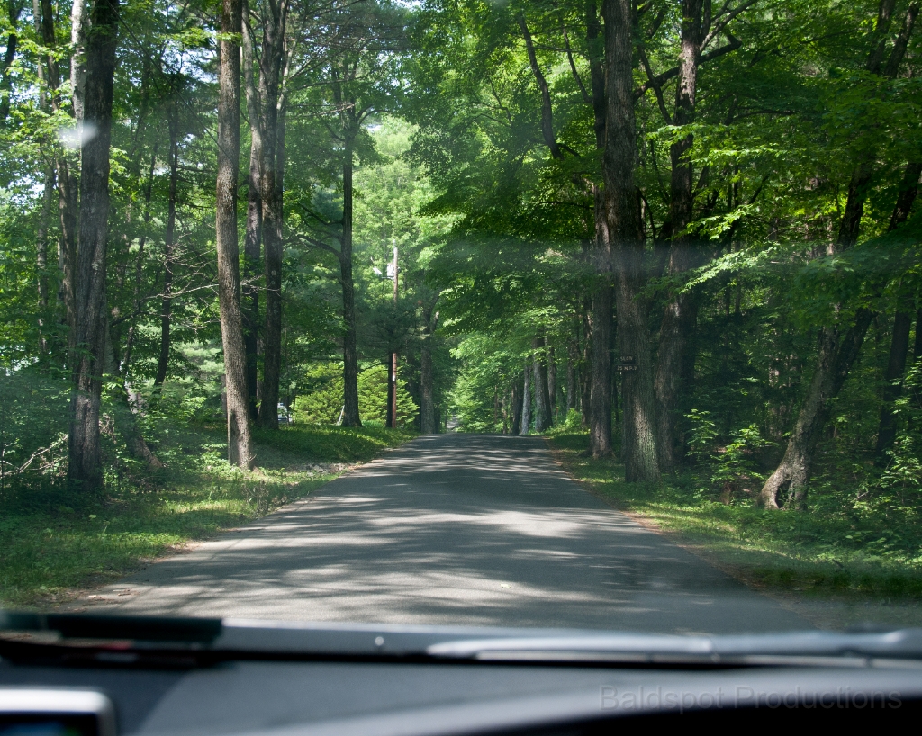 091__DSC1368.jpg - Pittsfield State Forest, Pittsfield MA