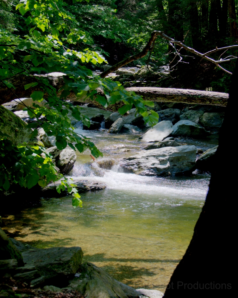 112__DSC1408_09_10_11_12_tonemapped.jpg - Bash Bish Falls State Park, Mt. Washington, MA