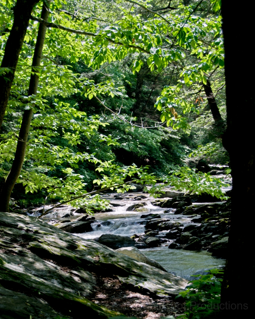 113__DSC1413_4_5_6_7_fused.jpg - Bash Bish Falls State Park, Mt. Washington, MA