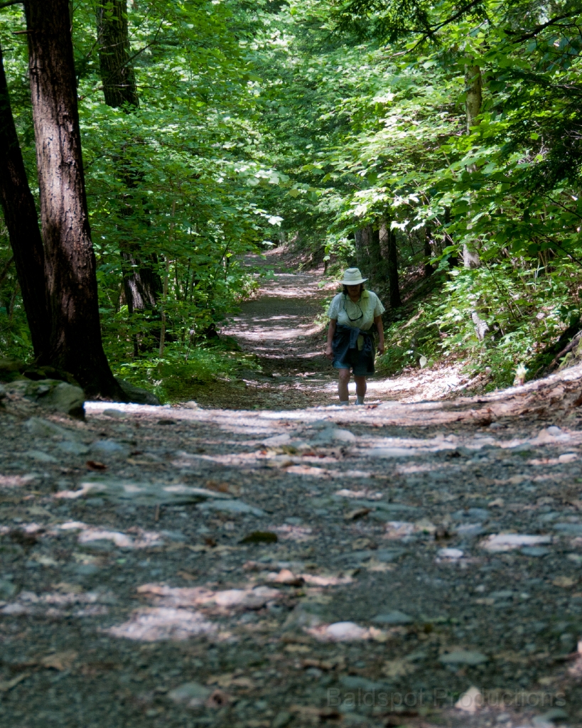116__DSC1431.jpg - Bash Bish Falls State Park, Mt. Washington, MA