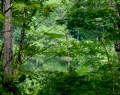 102__DSC1388