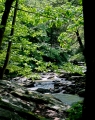 113__DSC1413_4_5_6_7_fused