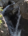 124__DSC1459