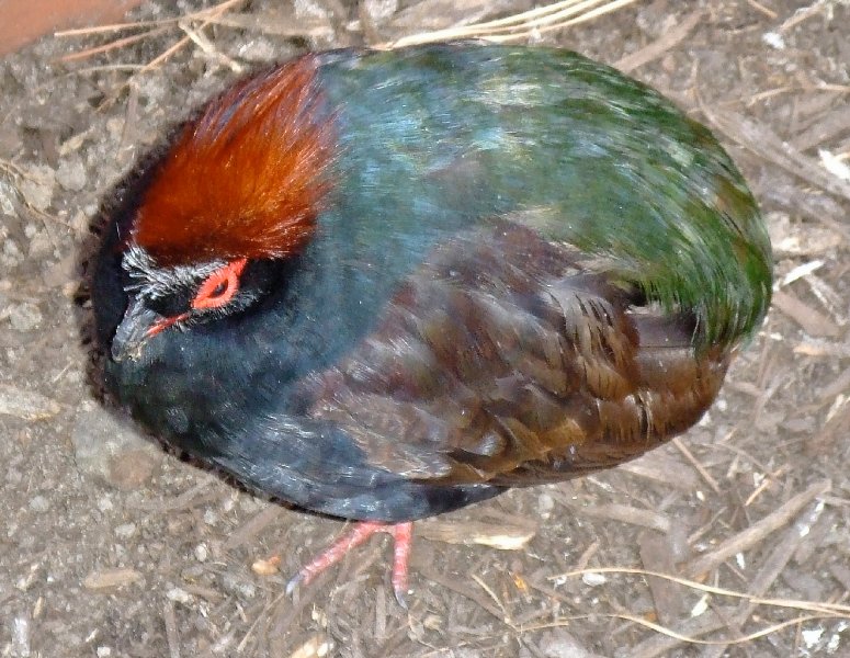 DSCF1064.jpg