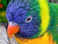 DSCF1068