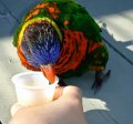 DSCF1074