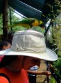 006DSCF1083