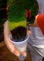 009DSCF1089