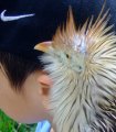 018DSCF1101
