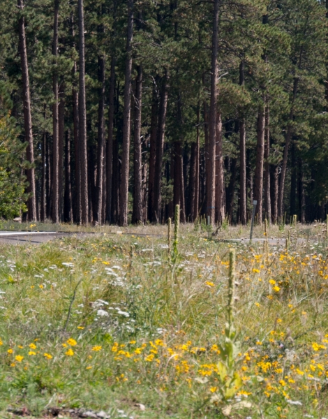 050__DSC3273.jpg