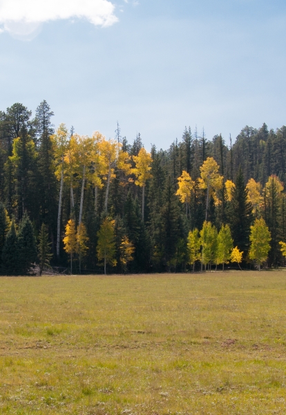 053__DSC3278.jpg