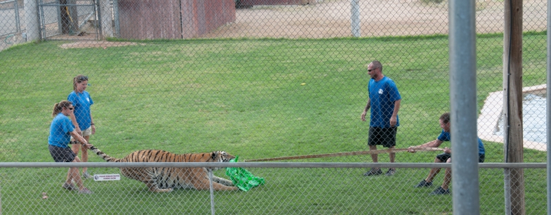 205__DSC3711.jpg