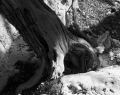 082__DSC3360