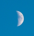 088__DSC3383