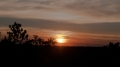 104__DSC3427