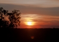 105__DSC3433