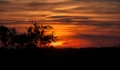 106__DSC3453