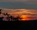 107__DSC3462