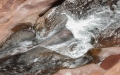 221__DSC3734