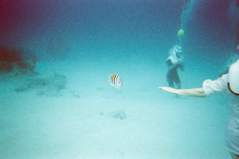 022a_helmetdive_0019b.jpg
