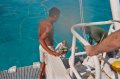 022a_helmetdive_0002b