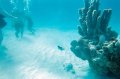 022a_helmetdive_0008b