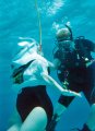 022a_helmetdive_0015b