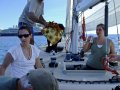 013_DSCF0664b