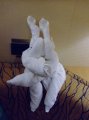 074_DSCF0681b