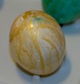 _DSC0881
