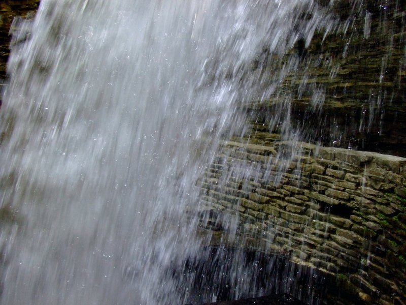 DSCF0913.jpg