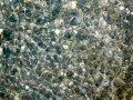 086_20120831P1000541