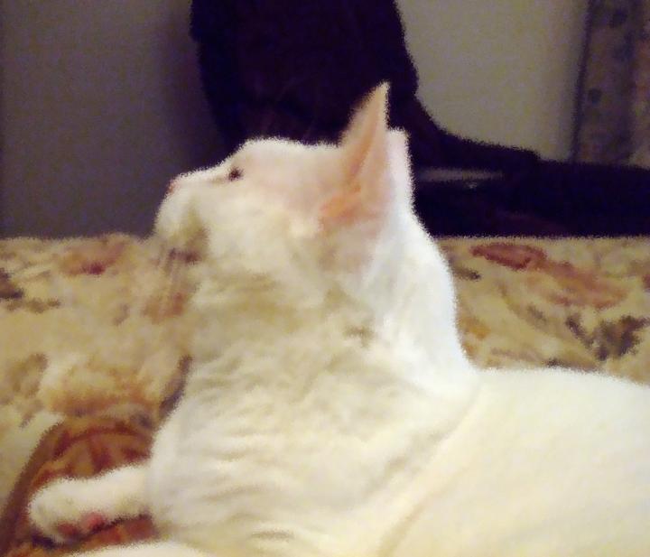 DSCF0584b.jpg - Sheila Kathryn and Karen's on New Years Day