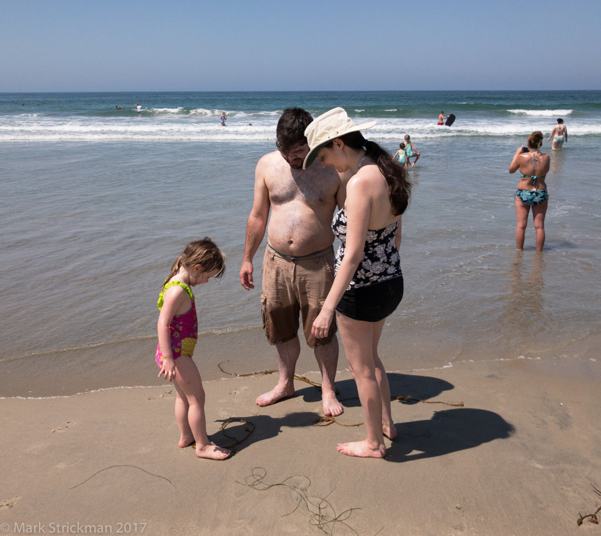 APC_0654------Mission Beach-------September 01, 2017