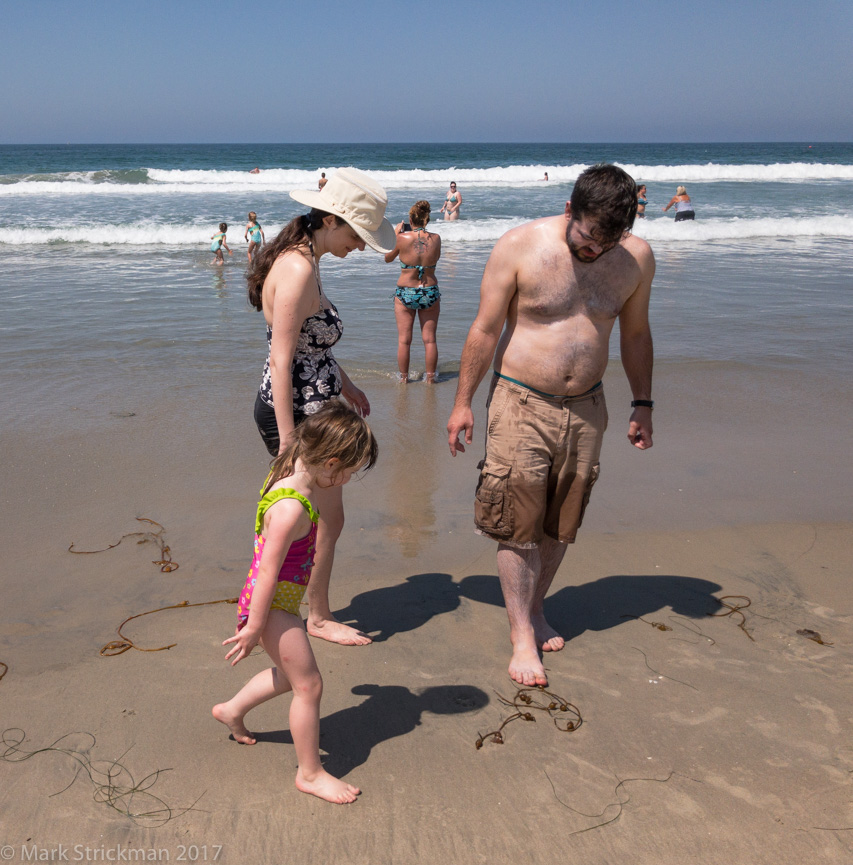 APC_0656------Mission Beach-------September 01, 2017