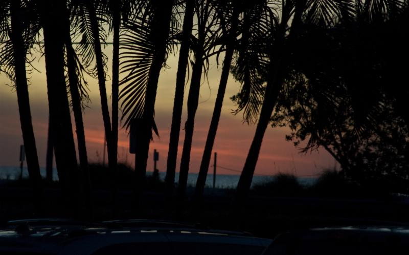 DSC_0780.jpg - Same sunset, different exposure