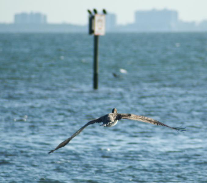 DSC_0877.jpg