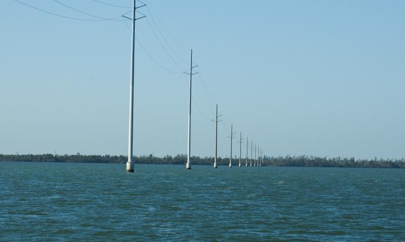 DSC_0879.jpg