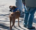 _DSC5254