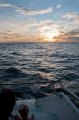 168_DSC1732