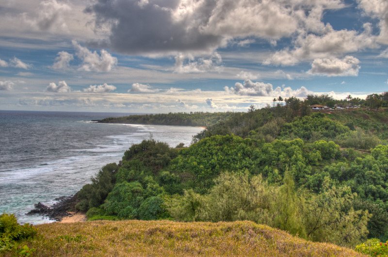 176_DSC1805_6_7_8_9_tonemapped.jpg - Na 'Aina Kai Botanical Garden tour, Kilauea, Kauai