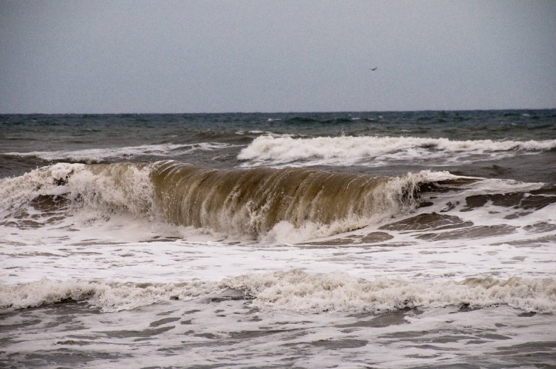 _DSC6144.jpg - Beach scenes, Day 2