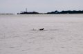 _DSC6326
