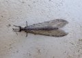 003_DSCF0327