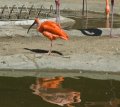 022_DSC_3063