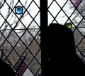 _DSC5450