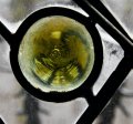 _DSC5454