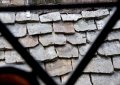 _DSC5457
